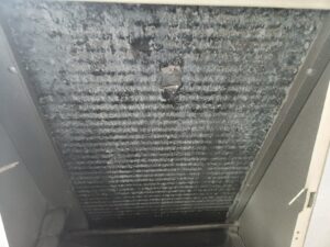 스탠드형 에어컨 에바핀 곰팡이 오염