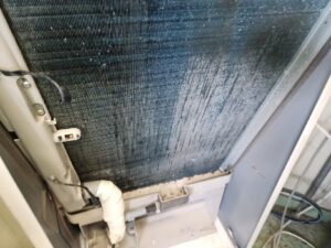 스탠드 에어컨 에바핀 청소 전 곰팡이 상태