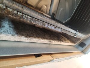 천장형 시스템 에어컨 내부 곰팡이 오염